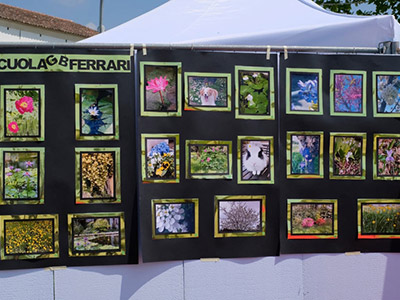 concorso-fotografico-
