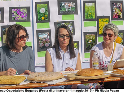 festa-di-primavera-